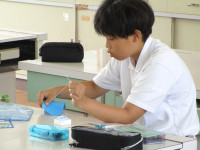 5家庭 (29)