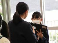 5,6道 (22)