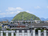 IMG_9906