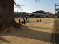 IMGP4171