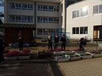 IMGP4174