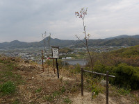 IMGP5156