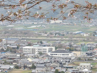 IMGP5164