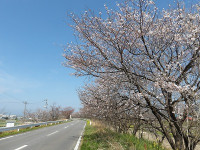 IMGP5174