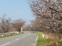 IMGP5175