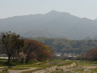 IMGP5190