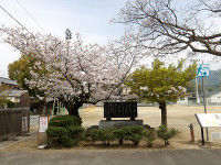 IMGP5225