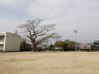 IMGP5232