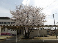 IMGP5220
