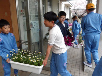 IMGP5268