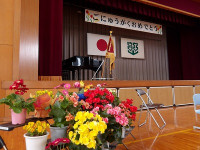 IMGP5298