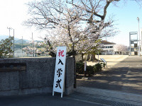 IMGP5336