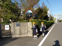 IMGP5337