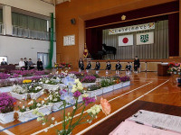 IMGP5381