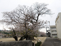 IMGP5459