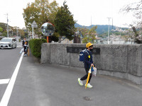 IMGP5451