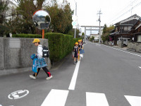 IMGP5452