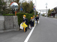 IMGP5454
