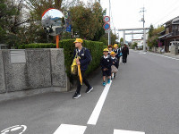 IMGP5455