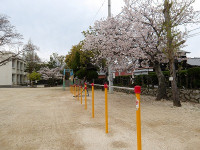 IMGP5463