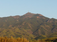 IMGP5445
