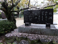 IMGP5498