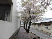 IMGP5522