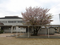 IMGP5555