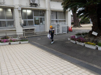 IMGP5537