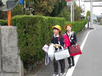 IMGP5541