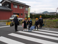 IMGP5542