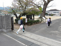 IMGP5552