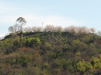 IMGP5331