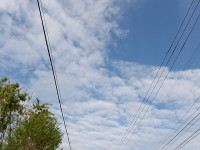 IMGP5589