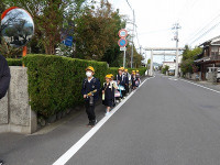 IMGP5584