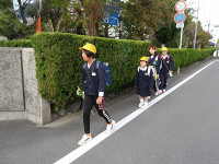 IMGP5587