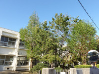 IMGP5738