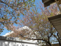 IMGP5806