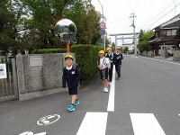IMGP5826