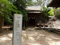 IMGP5873