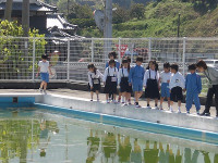 IMGP5966