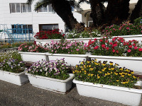 IMGP6031