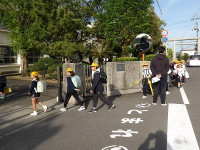 IMGP6006