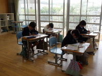 IMGP6037
