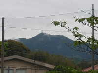 IMGP6211