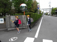 IMGP6217