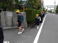 IMGP6223