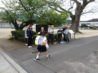 IMGP6224