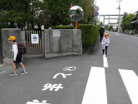 IMGP6226