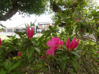 IMGP6265